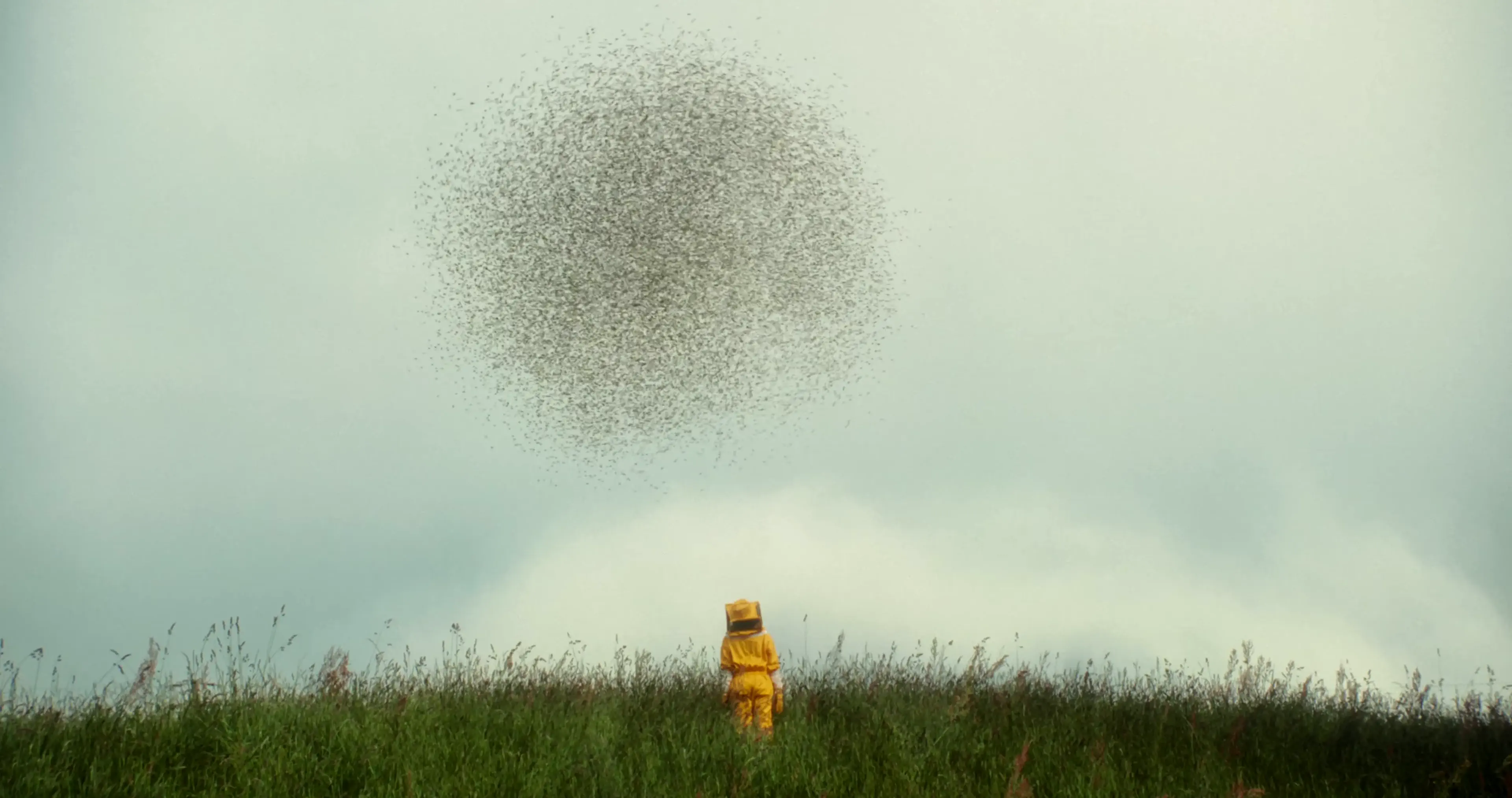 Thumbnail di Ronzio - Film